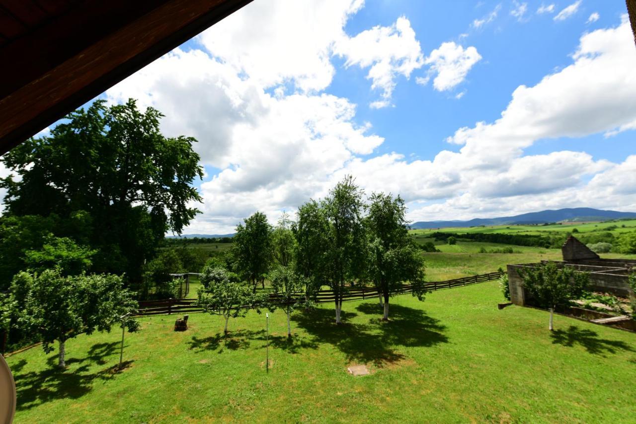 Apartman Jelena Rakovica Buitenkant foto