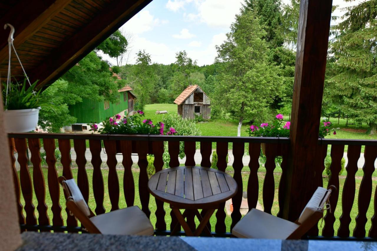 Apartman Jelena Rakovica Buitenkant foto