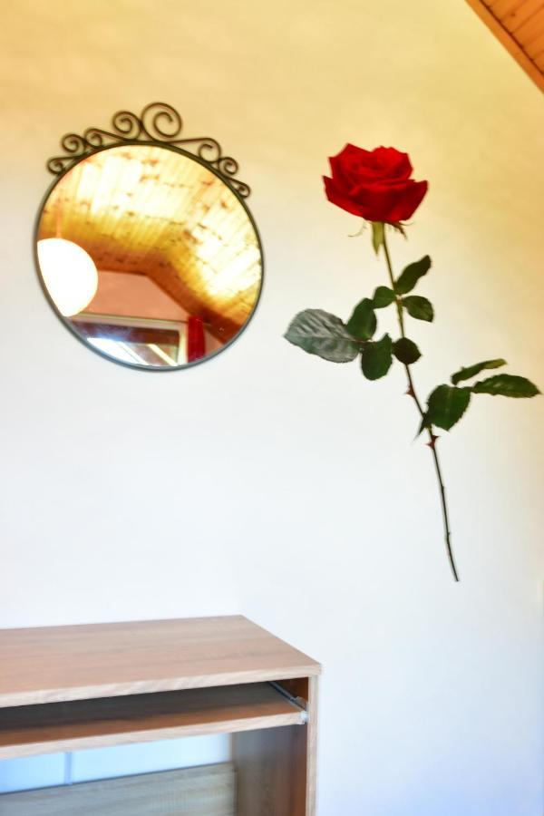 Apartman Jelena Rakovica Buitenkant foto