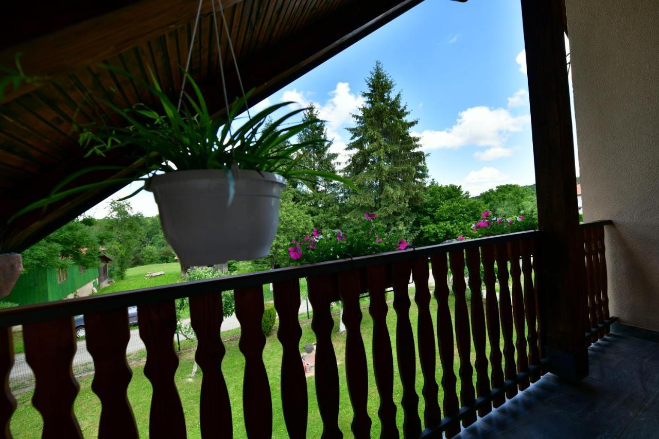 Apartman Jelena Rakovica Buitenkant foto