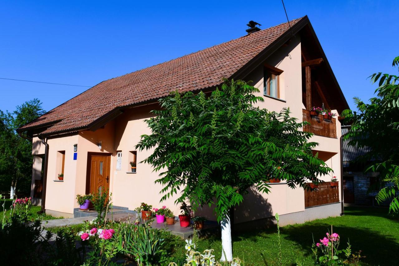 Apartman Jelena Rakovica Buitenkant foto